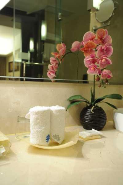 Hotel Zte